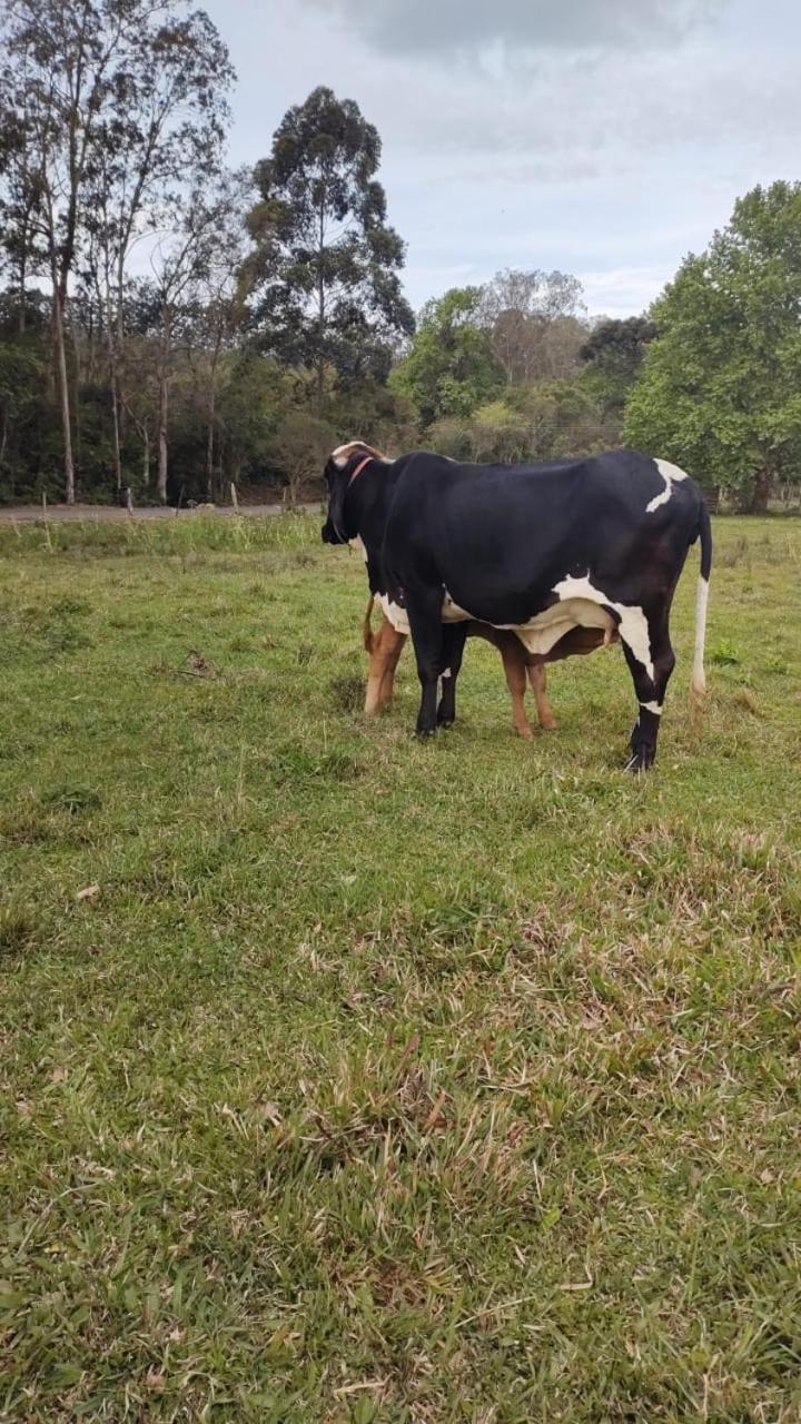 אוסוריו Pousada Rancho Do Lago מראה חיצוני תמונה
